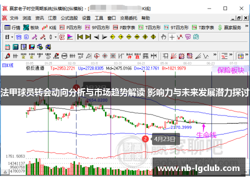 法甲球员转会动向分析与市场趋势解读 影响力与未来发展潜力探讨