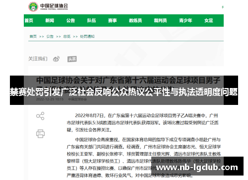 禁赛处罚引发广泛社会反响公众热议公平性与执法透明度问题