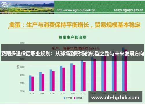 费南多退役后职业规划:从球场到职场的转型之路与未来发展方向