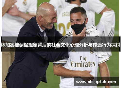 林加德被调侃现象背后的社会文化心理分析与球迷行为探讨