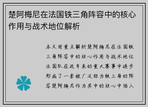 楚阿梅尼在法国铁三角阵容中的核心作用与战术地位解析