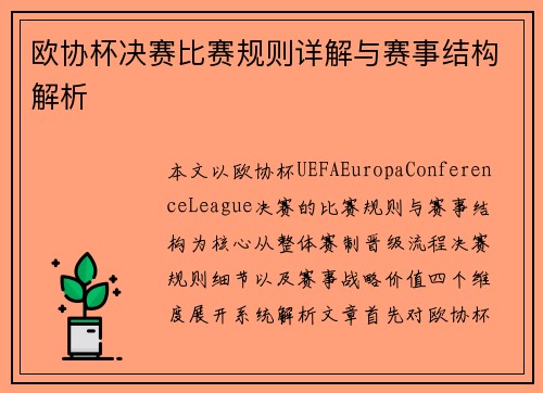 欧协杯决赛比赛规则详解与赛事结构解析